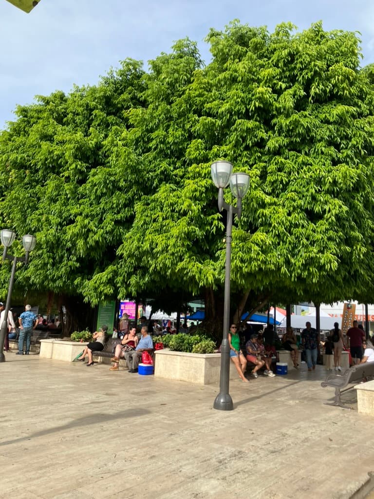 Landmarks & Sightseeing