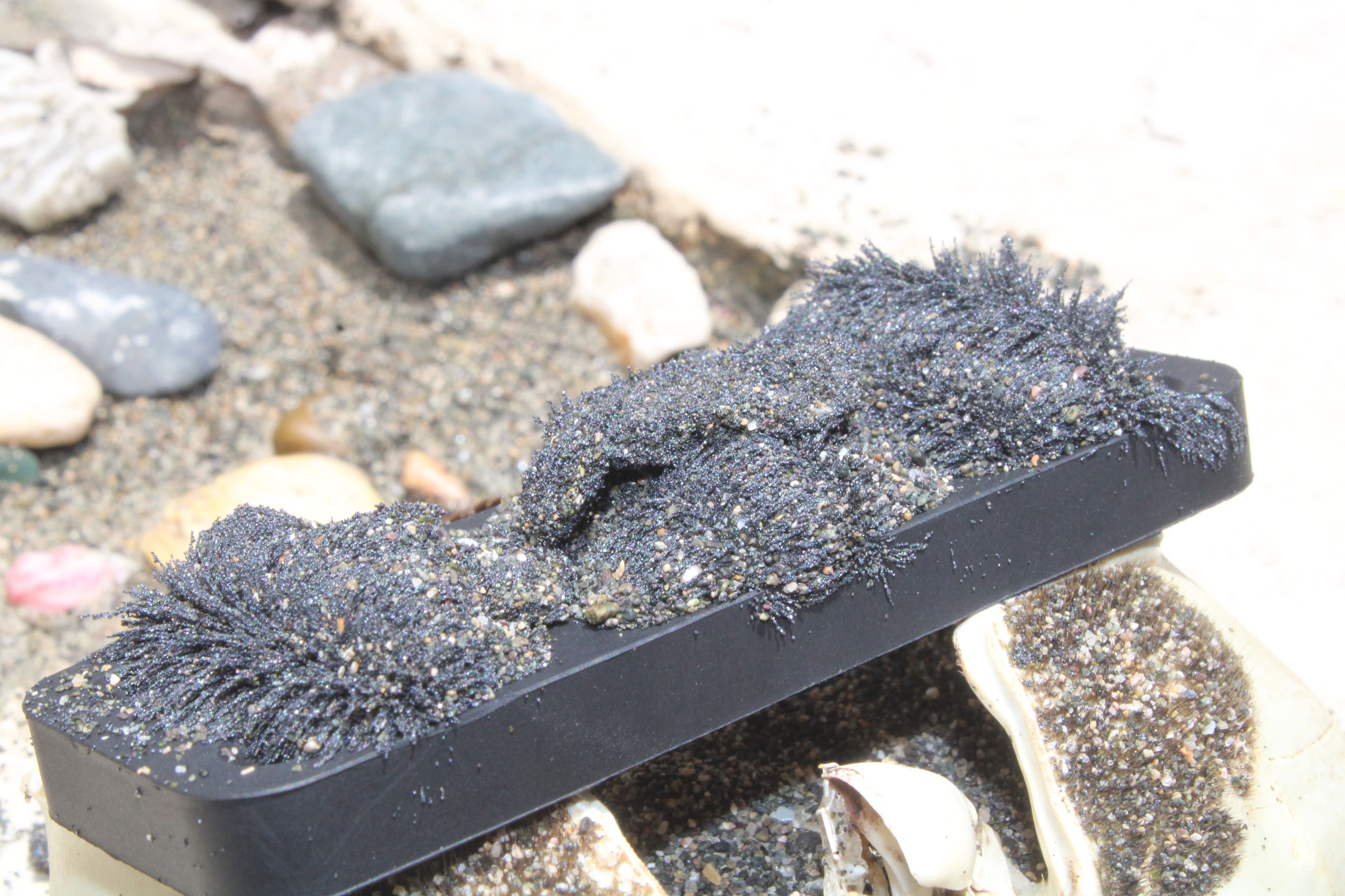 Magnetic black sand from the beach below Arenas Negra