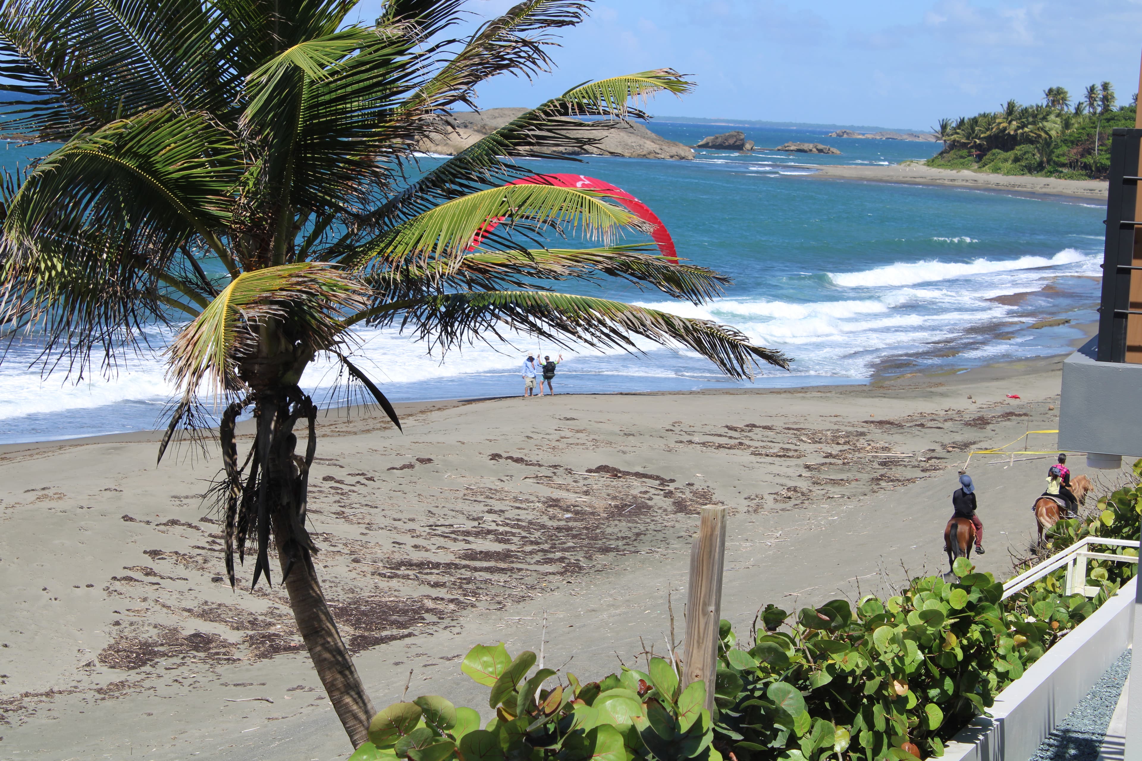Horses and paraglider along the Puerto Rico north coast